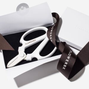 FBX_Scissors-Hero-CROP-1000px-02