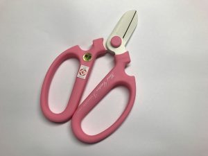坂源金シール