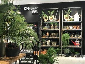 CNFlower
