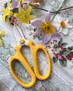 Collaboration Shears with Willow