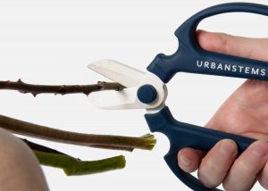 UrbanStems_Shears_Cutting