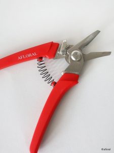 Afloral Shears_@afloral_07