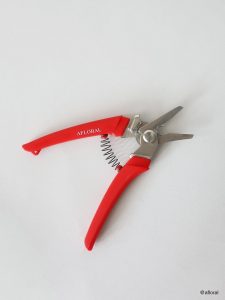 Afloral Shears_@afloral_03