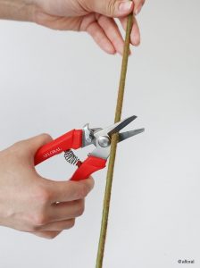 Afloral Shears_@afloral_04