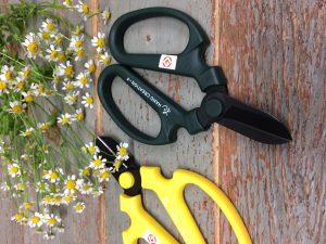 Shears_01