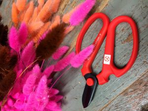 Shears_02