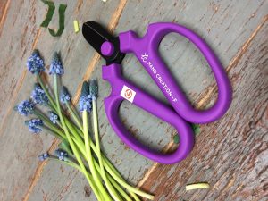 Shears_03