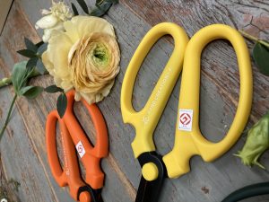 Shears_04