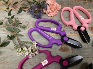Shears_05