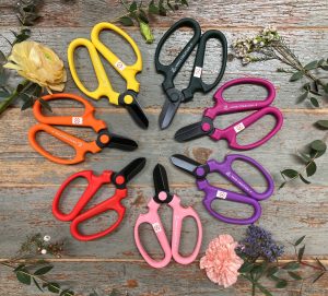 Shears_06