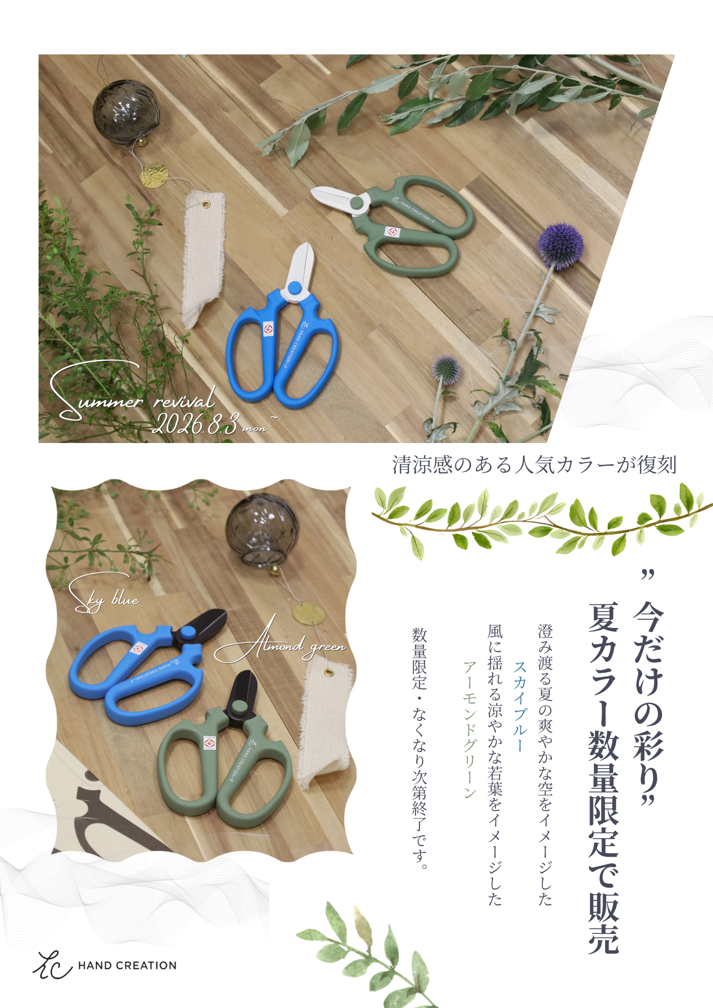 🌿☀️ 夏限定・数量限定 復刻カラーのお知らせ ☀️🩵｜株式会社 坂源